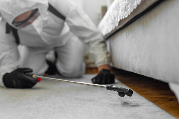 Professional Pest Control technician working in Prairie County County, MT